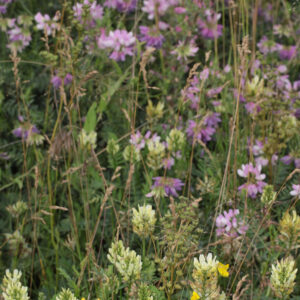 Nectar garden