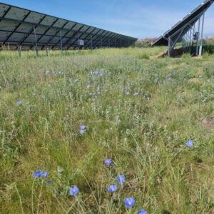 Amestecuri pentru parcuri fotovoltaice