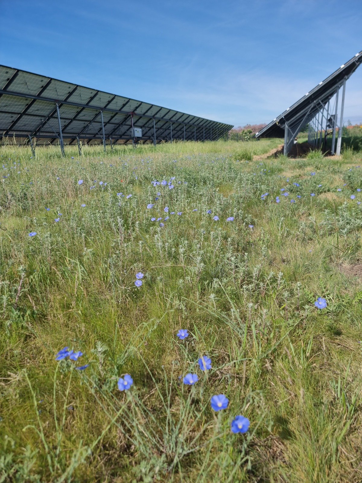 Amestecuri pentru parcuri fotovoltaice